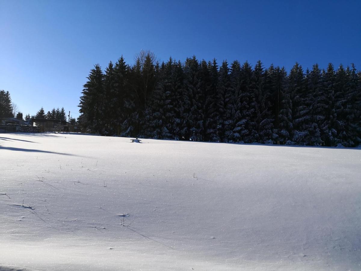 Ferienwohnungen 1 Bis 4 "Pumphut'S Scheune" Lengenfeld  Esterno foto