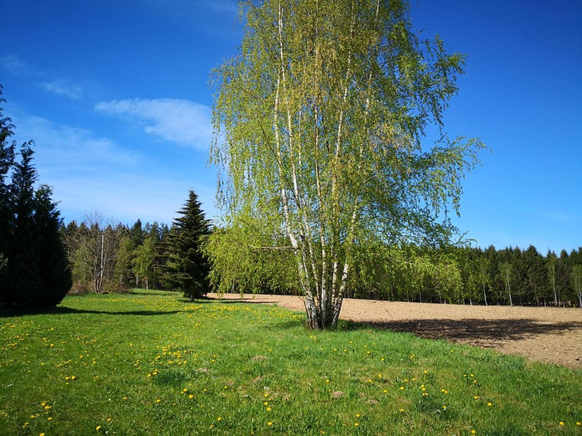 Ferienwohnungen 1 Bis 4 "Pumphut'S Scheune" Lengenfeld  Esterno foto