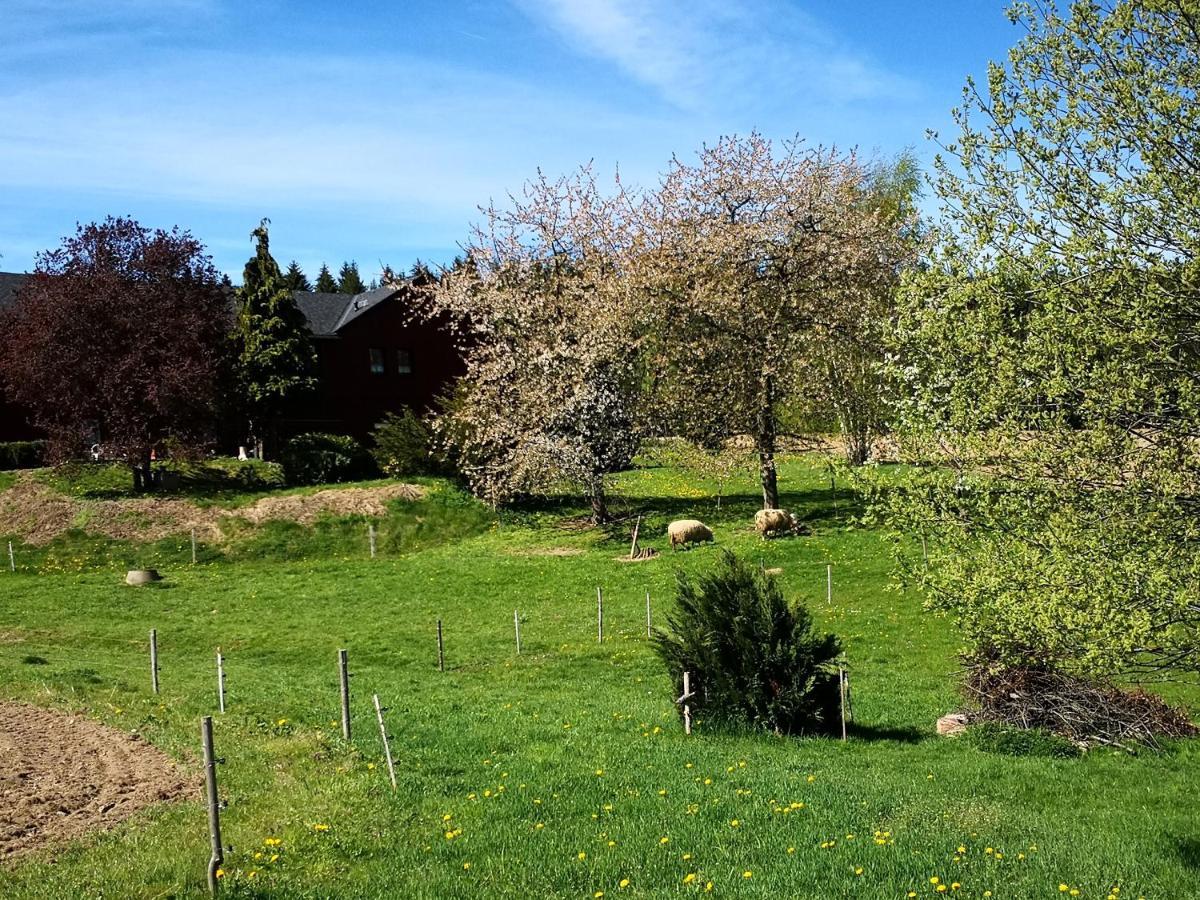 Ferienwohnungen 1 Bis 4 "Pumphut'S Scheune" Lengenfeld  Esterno foto